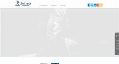 Desktop Screenshot of owl-nest.com